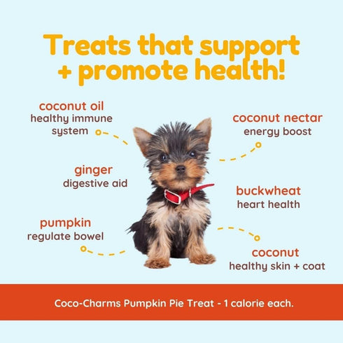 Cocotherapy Coco-Charms Training Treats - Pumpkin Pie, 5 Oz Pouch