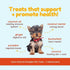 Cocotherapy Coco-Charms Training Treats - Pumpkin Pie, 5 Oz Pouch
