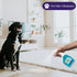 Dog Gone Pet Odor Reducer, Fresh Air Formula, 32 oz - 2 Pack, Effective Surface Freshener, Reapply Every 30-60 Days