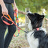 Leashboss Martingale Collar for Dogs - Reflective Nylon Training Collar for Large, Medium, and Small Dogs
