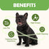 MON2SUN 5 Inch 14.11 oz) Dog Treats, Rawhide Twist Chicken Hide Sticks, Suitable for Puppy and Small Dogs, (Chicken