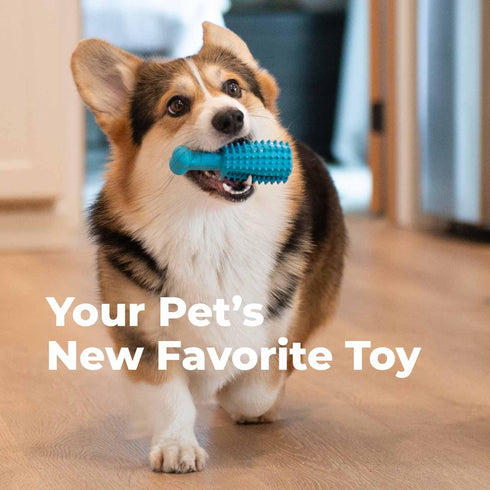 Oxyfresh Dog Dental Toy - Durable Rubber Chew Toy for Aggressive Chewers - Cleans Teeth & Freshens Breath (Large)