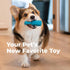 Oxyfresh Dog Dental Toy - Durable Rubber Chew Toy for Aggressive Chewers - Cleans Teeth & Freshens Breath (Large)
