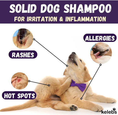 Dog Shampoo for Allergies and Itching - All Natural Dog Soap Bar with Lavender Oil & Oatmeal, 3PCS