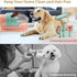 Generic <65dB, All in One Pet Grooming Kit with Vacuum, Low Noise Hair Collection and Suction, for Dogs and Cats (Light