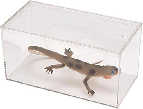Pioneer Plastics Clear Micro Habitat Terrarium, Tarantula Enclosure, Desktop Aquarium