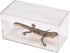 Pioneer Plastics Clear Micro Habitat Terrarium, Tarantula Enclosure, Desktop Aquarium