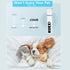 Aenncci 4 1 Trimmer 2-Speed Trimmer Dog Clippers for Grooming, in Dogs Paw Pet Grooming Kit, Low Noise Dog Shavers
