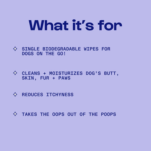 Jet Set Dog Wipes by Dirty Dog Beauty Club, Thick, Gentle, Biodegradable, Chemical Free, Alcohol Free, Soothing (30