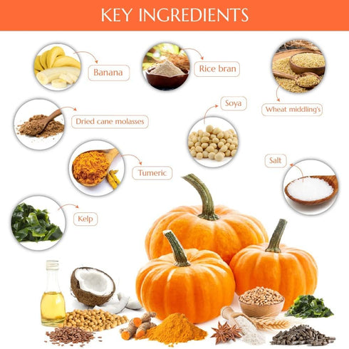 5 (1 Pack) Kelcies Pumpkin Spice Horses Treats - Low Sugar, Starch, and Carbohydrates | Healthy Treats for Horse