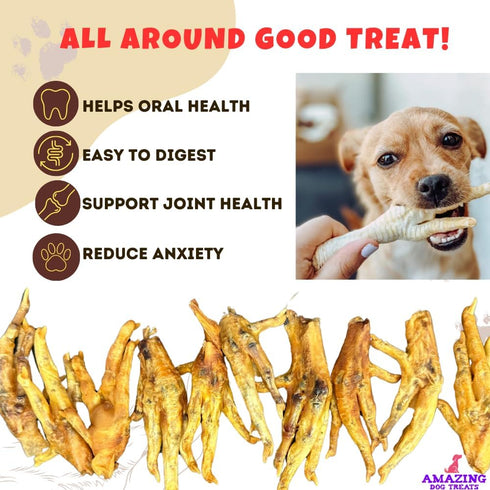 Amazing Dog Treats - Chicken Feet (12 Count) - All Natural American Grade Chew Bones for Dogs