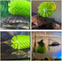 Turtle Brush with Suction Cup for Tank Scratches - Back Scrub and Shell Cleaning for Red Eared Slider - Exfoliate