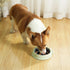 Slow Feeder Dog Bowls Insert, Animire Soft Silicone Anti-Choking Puzzle Feeder, Anti-Slip, Compatible with Elevated