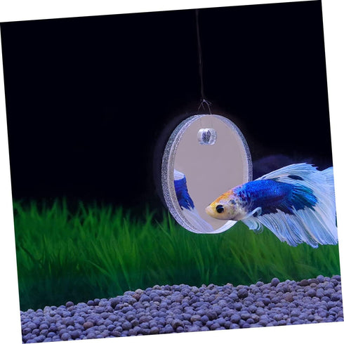 Betta Training Mirror Set, Decorative Fish Tank Toys, Plastic Round Sports Mirror for Betta Tank