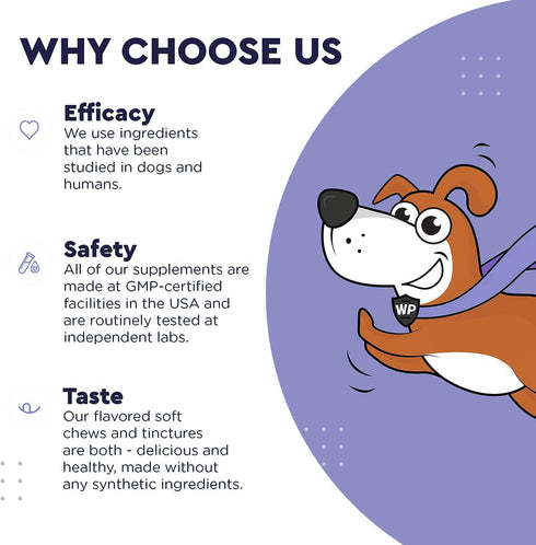 Premium DMG for Dogs - Liquid to Support Immune Health, Skin, Stamina, Muscles & Performance - 4oz