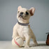 Spiked Dog Collar Leash Set, Leather Strap with Mushroom Rivet Spiky Studded Collars for Small to Large Dogs