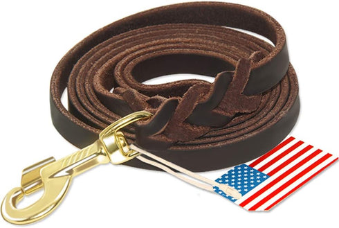 Premier 6ft Leather Dog Training Leash for Hunting Dogs or Obedience - Great Christmas Dog Gifts