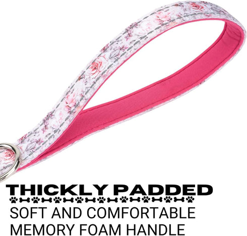 EcoBark Dog Leash, 4 FT / 5 FT / 6 FT Reflective with Padded Handle, Strong Heavy Duty Nylon for Small Medium Dogs