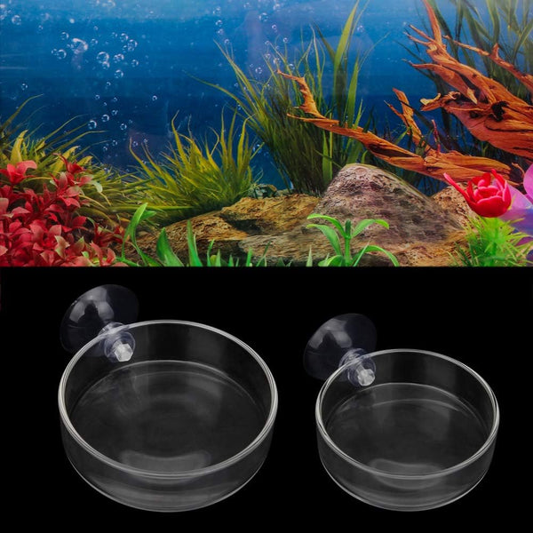 Senzeal 2PCS Shrimp Feeding Dish, Glass Aquarium Fish Tank Reptiles Round Feeder Bowl with Suction Cup