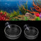 Senzeal 2PCS Shrimp Feeding Dish, Glass Aquarium Fish Tank Reptiles Round Feeder Bowl with Suction Cup