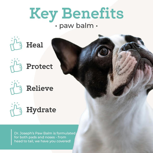 VetPro Complete Paw Balm for Dogs and Cats, 2 Ounces, Natural Protection & Soother for Dry Pads & Noses