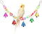 Hypeety Hamster Parrot Hanging Ladder Bridge Cage Swing, Acrylic Chew Perch with Metal Bell