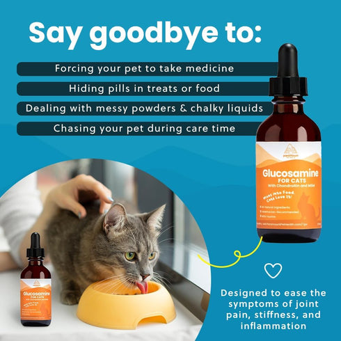 100% Natural Liquid Glucosamine Chondroitin with MSM – Hip & Joint Supplement for Senior Cats, 2 Oz