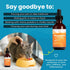 100% Natural Liquid Glucosamine Chondroitin with MSM – Hip & Joint Supplement for Senior Cats, 2 Oz