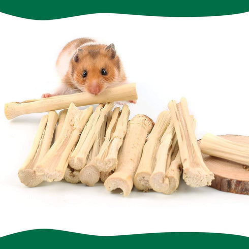 500g Chinchilla BWOGUE Pet Snacks Sweet Bamboo Chew Toy for Squirrel Rabbits Guinea Pigs Hamster