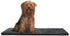 Furhaven 30" x 21" Highly Absorbent Dog Door Mat, 100% Washable, Chenille Rug for Entryway, Charcoal
