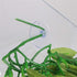 Reptile Plants 12 inches Hanging Silk Terrarium Plant with Suction Cup for Bearded Dragons, Lizards, and Geckos