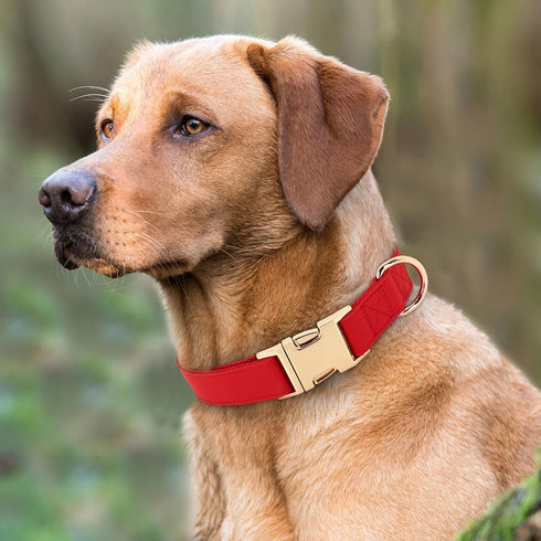 PET ARTIST Soft & Comfy Girl Dog Collars, Classic Christmas Red Leather for Medium Dogs, Durable Nylon with Quick