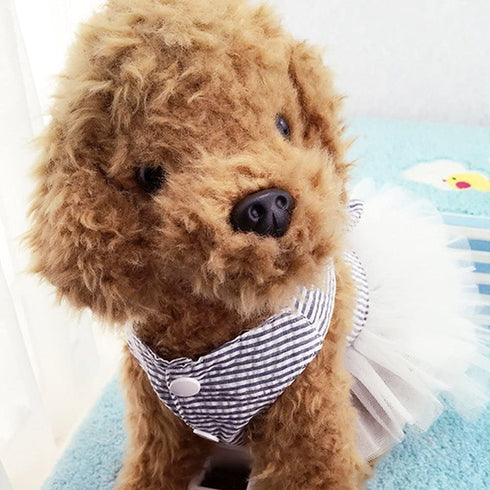 Fashion Pet Dog Dresses, Striped Mesh Puppy Clothes (Blue, X-Small)