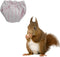 Washable Squirrel Diapers - Extra Small Reusable Pet Cloth Diapers Highly Absorbent