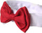 Selected Adjustable Dog Bow Tie - Puppy Pet Costume Collar, Formal Bowtie for Dogs & Cats, Red
