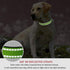 Reflective Dog Collar with Buckle - Adjustable Safety Nylon Collars for Small Medium Large Dogs, Grass Green M