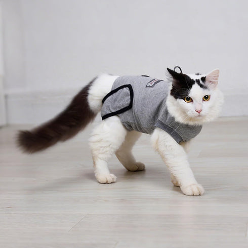 DogLemi Cat Surgery Recovery Suit, Universal Male Female Onesie After Spay Neuter, Soft E-Collar Alternative (M)