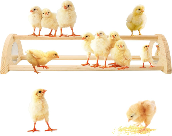 Yasdyri Chicken Perch with Mirror Roosting Bar for Baby Chicks Chick Jungle Gym