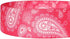 Blueberry Pet 5 Colors Paisley Flower Print Dog Leash, 5 ft x 5/8", Pink, Small
