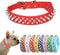 Spiked Dog Collar Leash Set, Leather Strap with Mushroom Rivet Spiky Studded Collars for Small to Large Dogs
