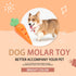 balacoo Food Dispensing Chew Toy for Dogs Interactive Carrot Shape Biting Plaything for Puppies Encourages Chewing