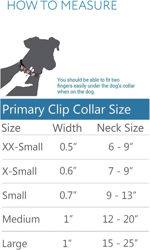 RC Pets Primary Collection 1" Dog Clip Collar, Medium, Dark Teal
