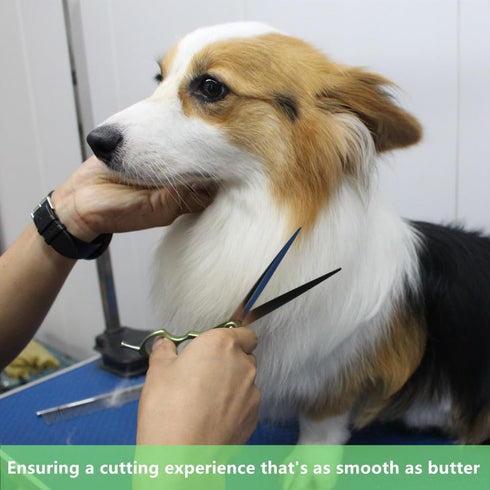 HASHIMOTO Dog Grooming Scissors, Straight Blade, Extremely Light Weight, Matte Surface, Designed for Professionals