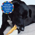 Natural Himalayan Yak Cheese Dog Chews - Long Lasting Treats for All Dog Sizes, Ideal for Aggressive Chewers, Medium, 2