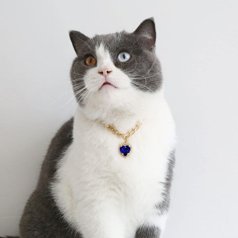 SOGAYU Cat Necklace Collar with Heart Rhinestone Pendant, Lightweight Adjustable Shine Diamond Cute Girl Wedding
