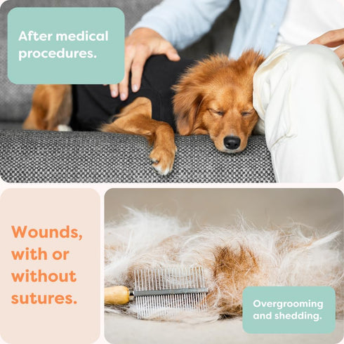 Suitical Recovery Suit for Dogs - Comfortable Post-Surgery Suit with Hold-Up System for Spay, Neuter, Skin Issues -