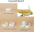 Ceramic Round Reptile Food Bowls - 2-Pack Pet Food Dish for Lizards and Young Bearded Dragons