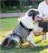 6FT/8FT/10FT Classic Rope Dog Leash, Strong Lightweight 1/2” Nylon Leash for Medium Large Dogs, Basic Walking, Hiking,
