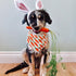 2 Pack Easter Dog Bandana, Triangle Bibs Pet Scarf for Medium to Large Dogs