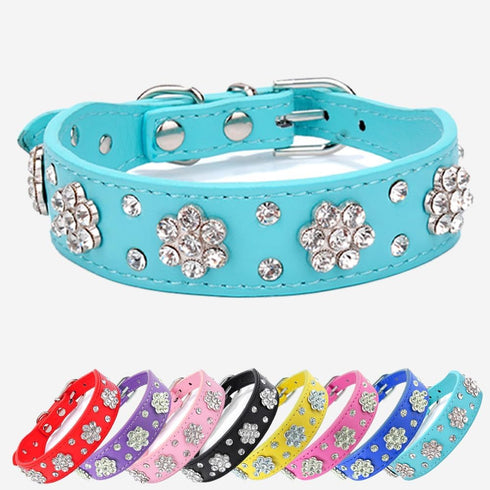 Rhinestone Flower Dog Collar - Sparkling Leather Pet Collar for Small and Medium Dogs (Blue M)
